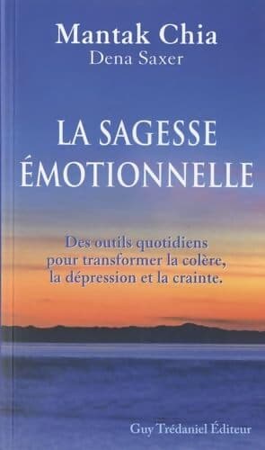 La sagesse émotionnelle - des outils quotidiens pour transformer la colère la dépression et la crainte - Mantak Chia