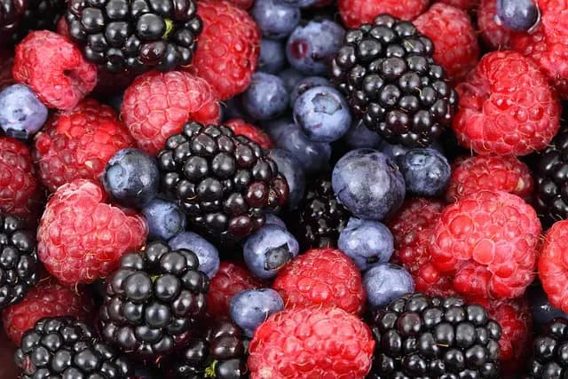 Les Clés d'une Alimentation Ayurvédique Équilibrée