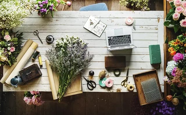 Les Plantes Ayurvédiques Indispensables pour un Bien-Être Optimal