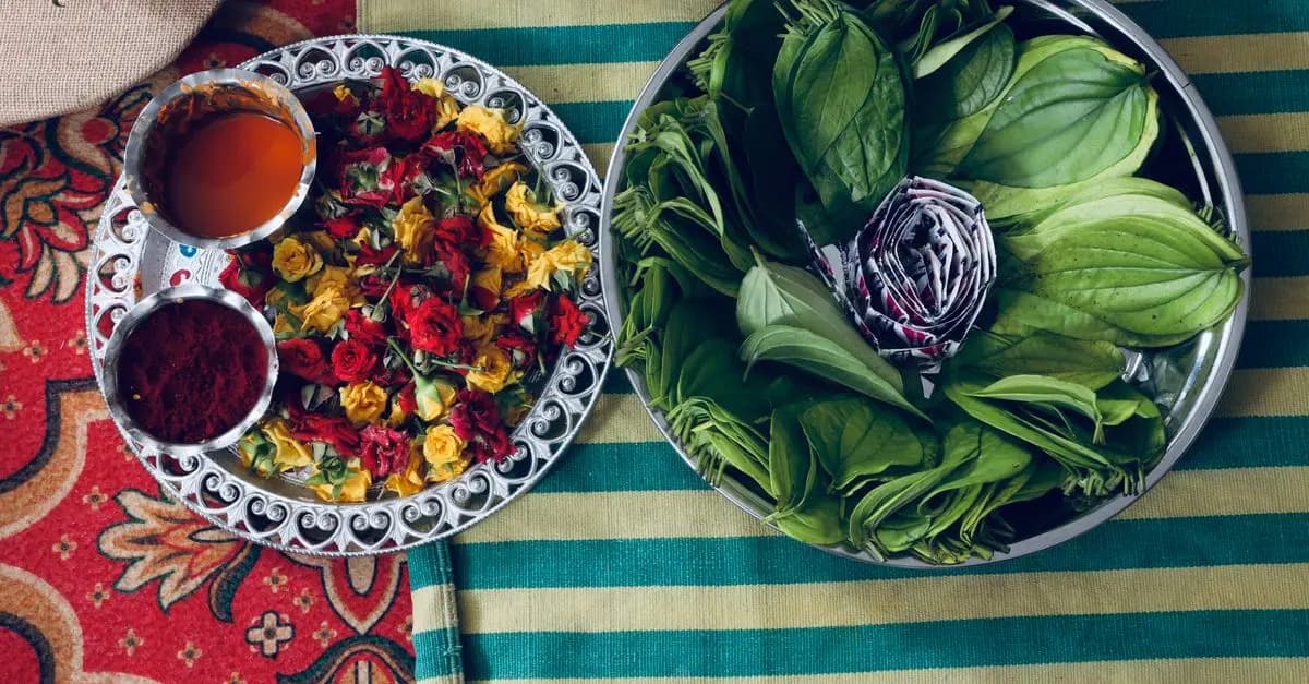 Comment Intégrer les Plantes Ayurvédiques dans Votre Vie Quotidienne