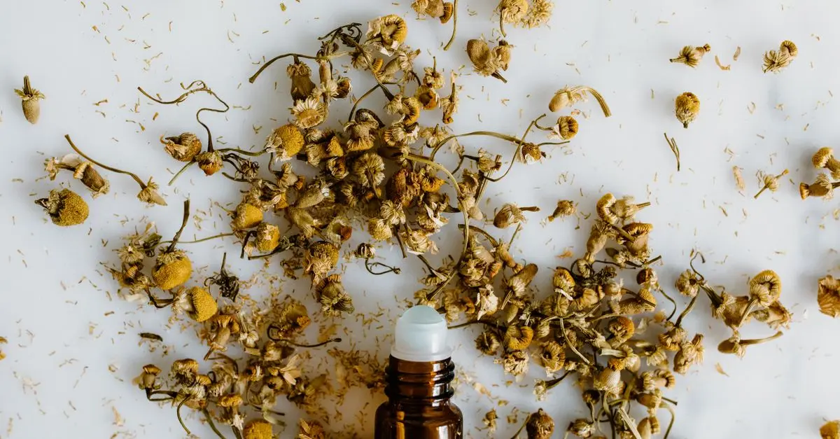 L'Art de la Purification du Corps en Ayurveda