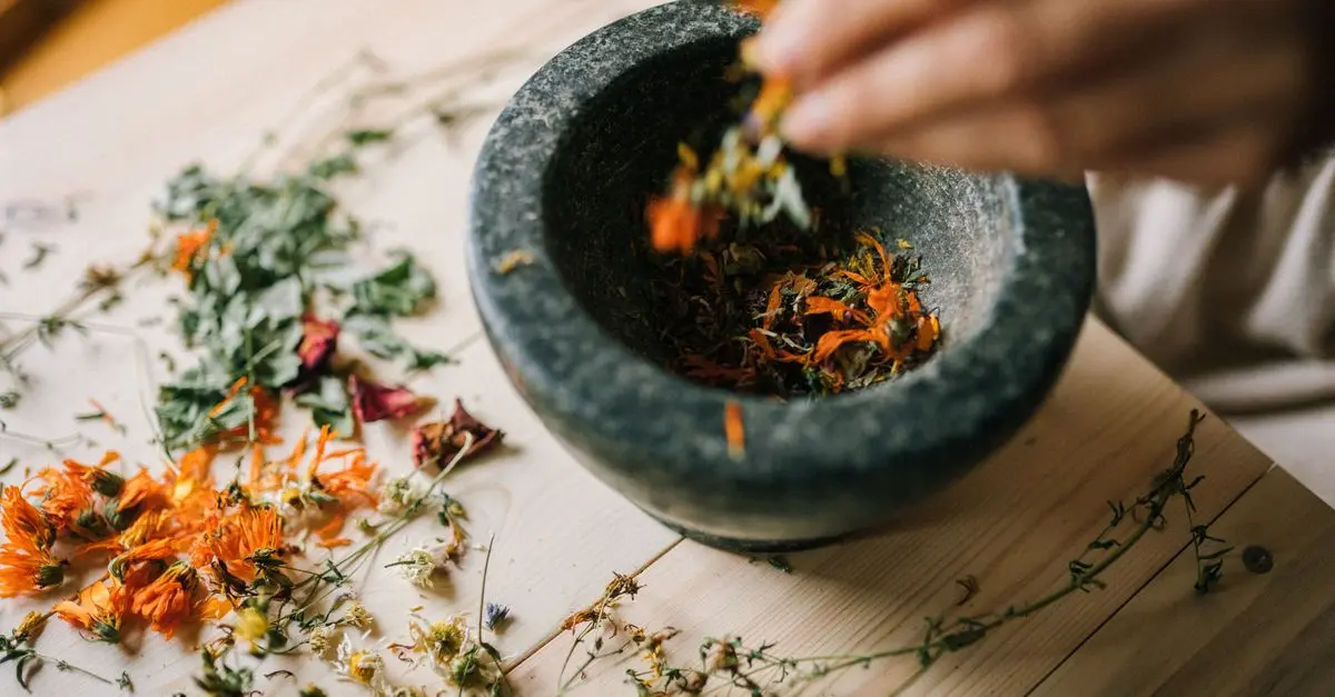 Les Bienfaits de l'Ashwagandha en Ayurveda pour Votre Santé