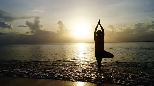 Comment Équilibrer Votre Dosha avec des Pratiques Quotidiennes