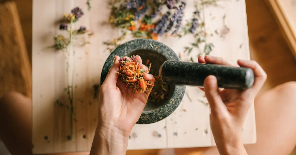 Comment Pratiquer l'Ayurveda au Quotidien pour Une Vie Saine