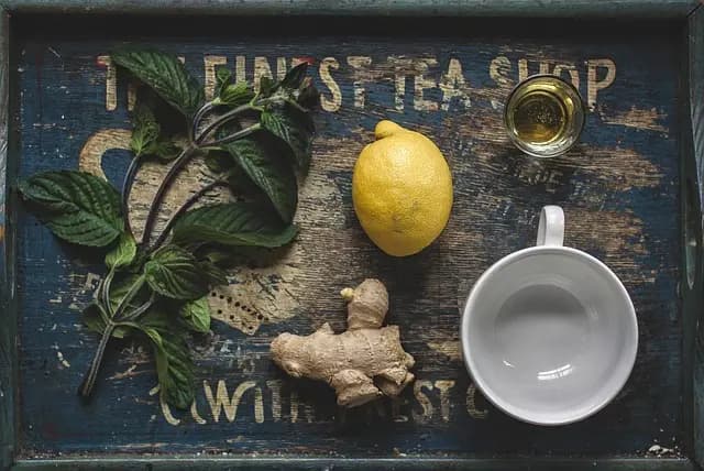 Les Meilleures Infusions Ayurvédiques pour Votre Bien-Être