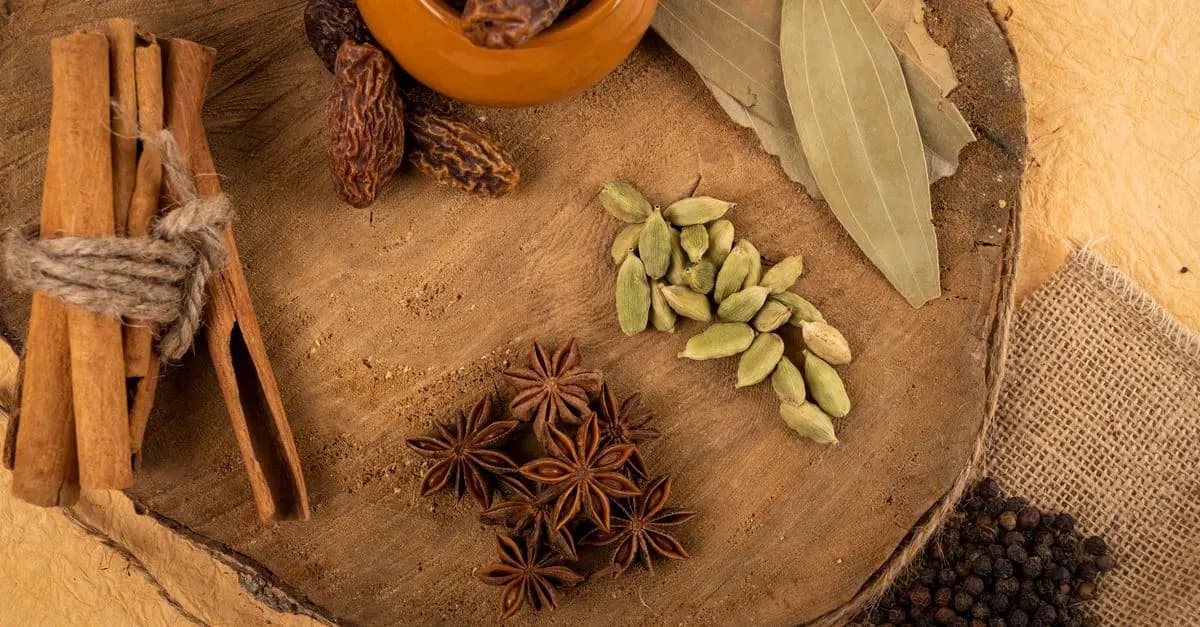 Les Bienfaits de l'Ayurveda pour Votre Santé Quotidienne