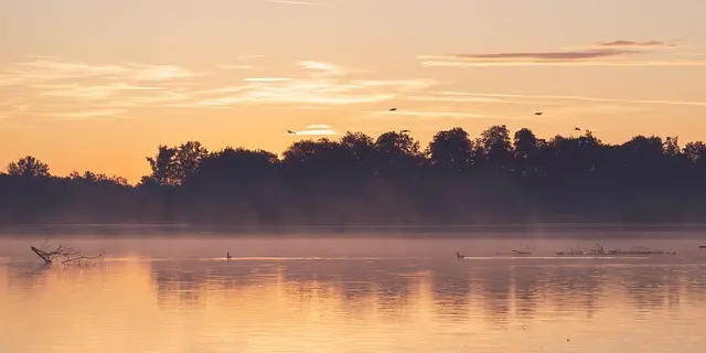 5 Rituels Ayurvédiques Matinaux pour Bien Commencer la Journée