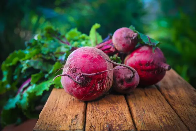 5 Plantes Ayurvédiques Essentielles pour votre Santé