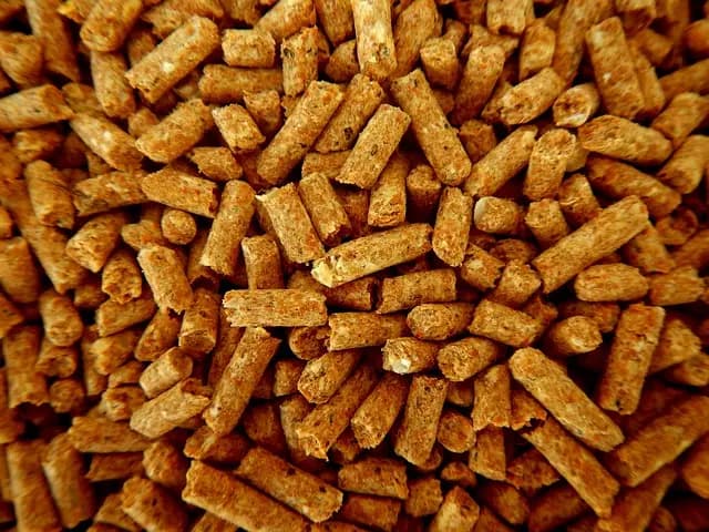 Les Aliments Qui Favorisent un Équilibre Ayurvédique
