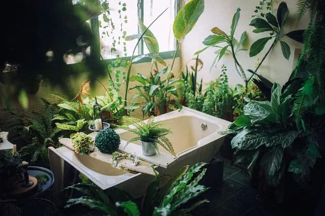 Les Meilleures Pratiques Quotidiennes en Ayurveda pour Équilibrer Votre Vie
