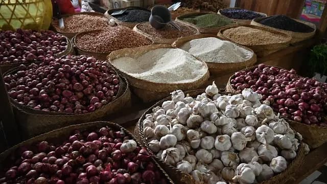 Les Pratiques Quotidiennes en Ayurveda pour un Équilibre Idéal