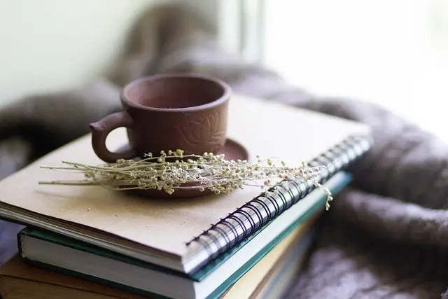 Les Secrets du Vata : Comprendre et Équilibrer votre Dosha