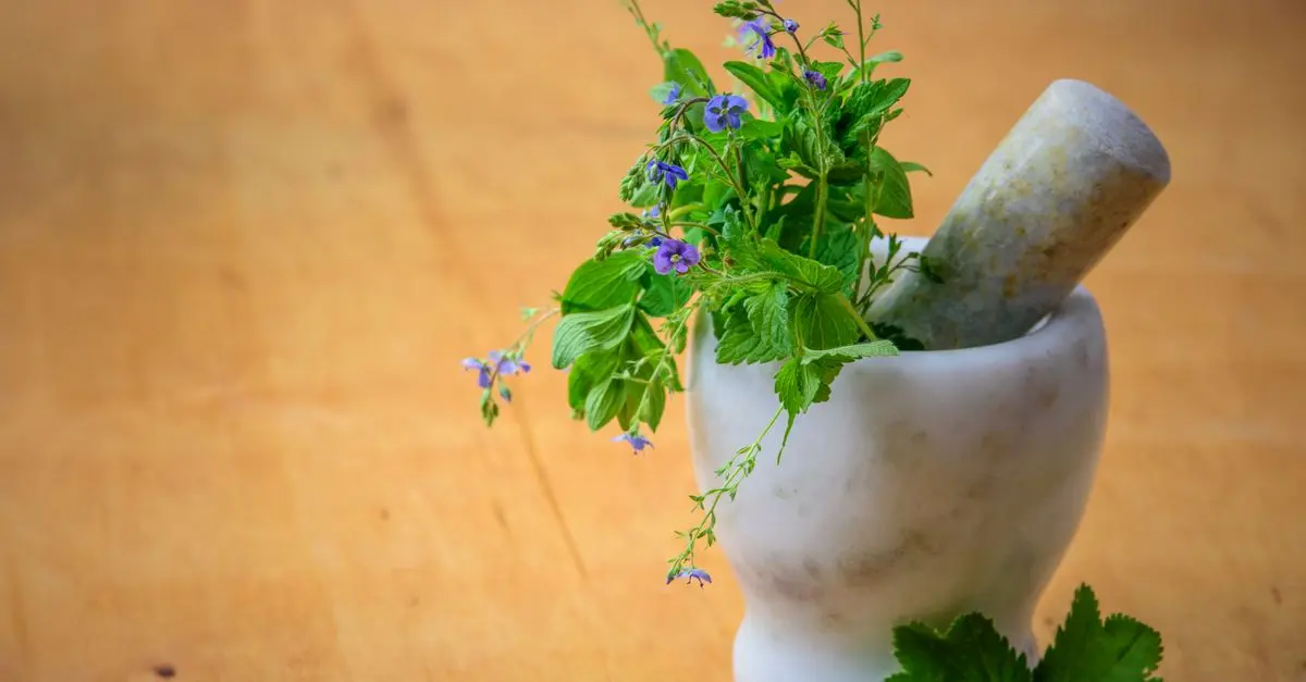 Les Bienfaits de l'Ayurveda pour le Système Immunitaire