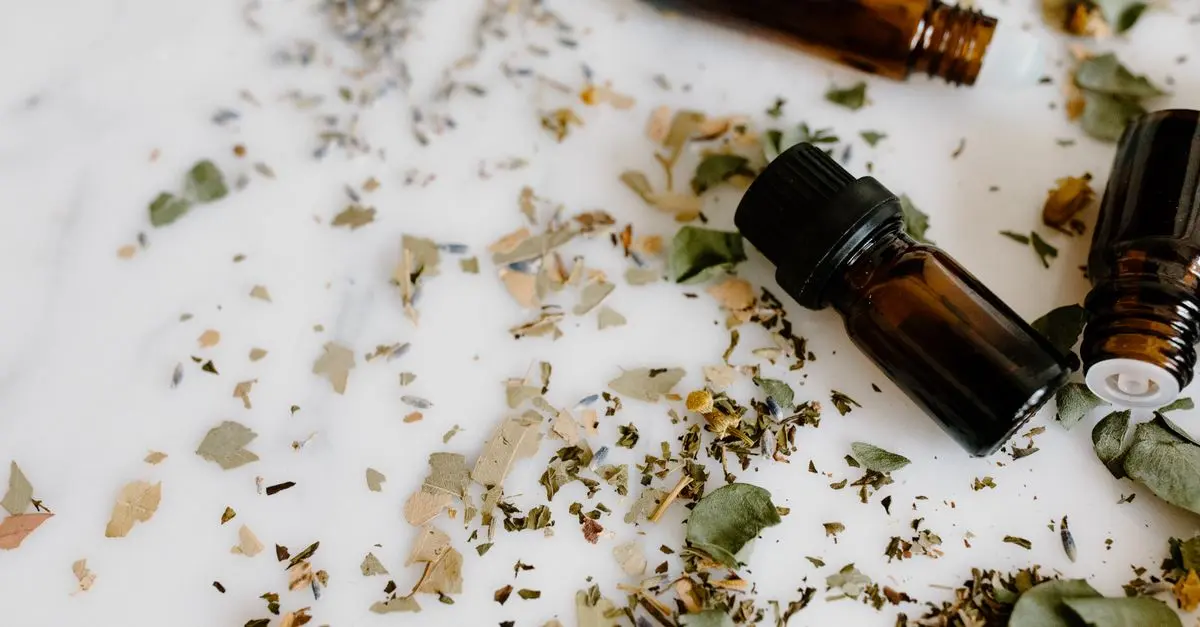 Comprendre les Principes Fondamentaux de l'Ayurveda