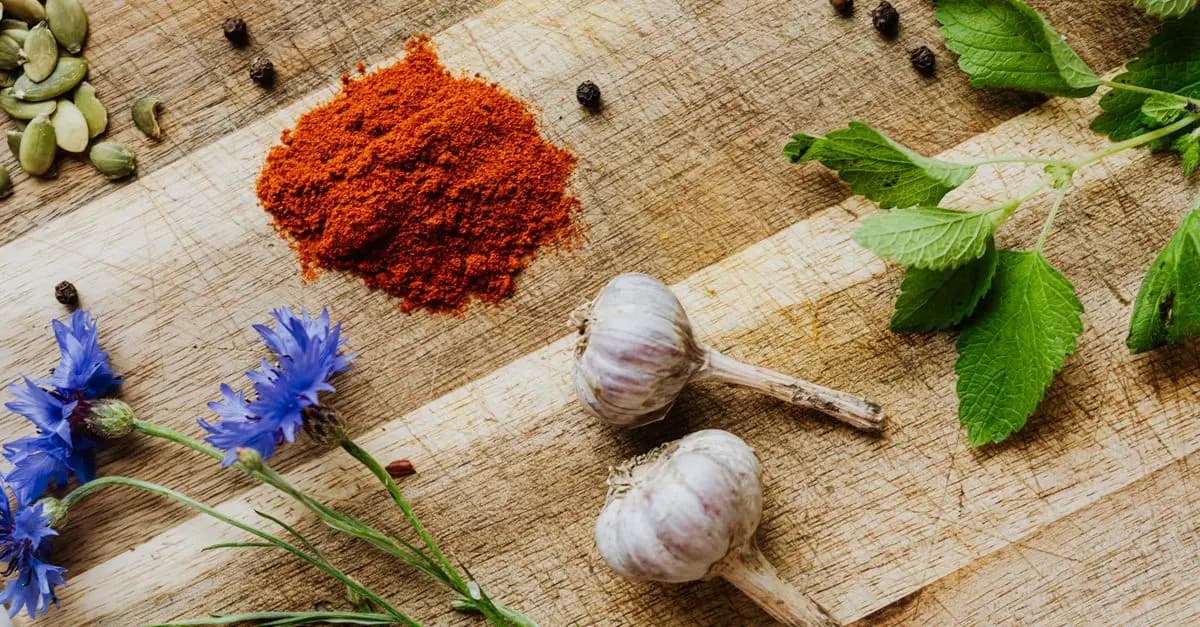 Les Principes de l'Alimentation Ayurvédique pour une Vie Saine
