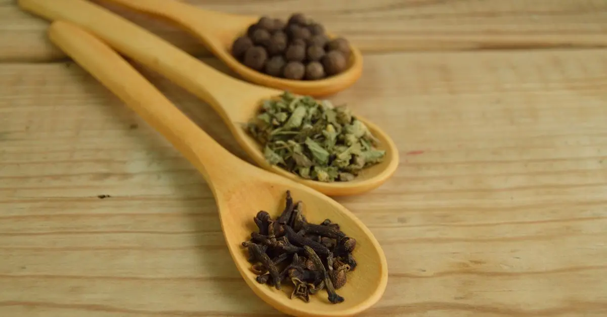 Comment Choisir vos Plantes Ayurvédiques pour le Bien-Être