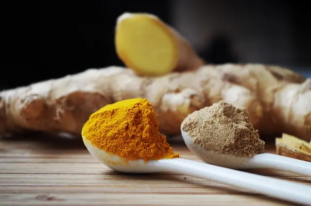 Comment Intégrer l'Ayurveda dans Votre Quotidien pour un Bien-Être Optimal