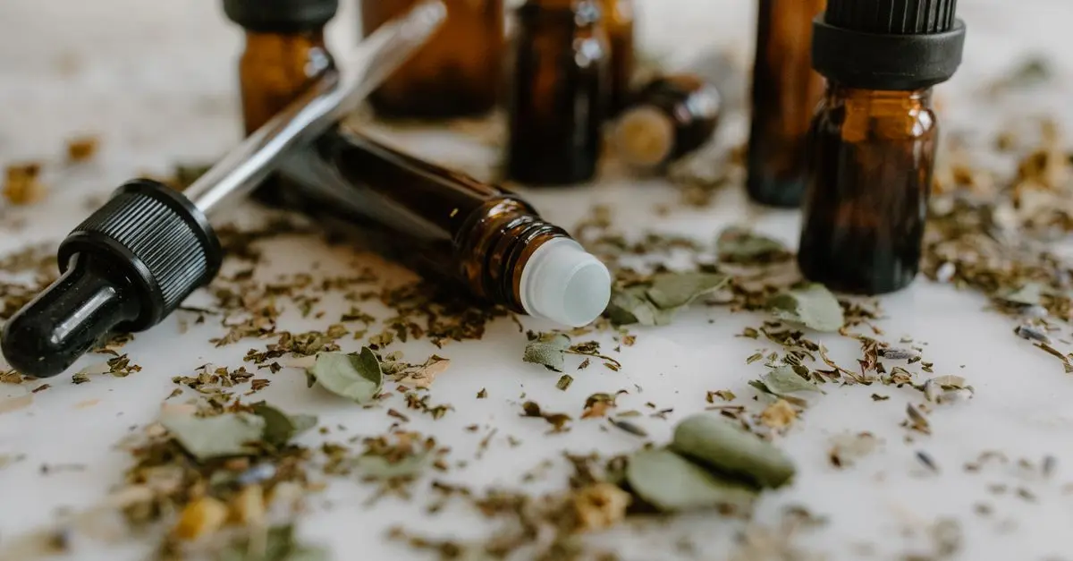 Les Fonctions Fondamentales de l'Ayurveda pour le Bien-Être