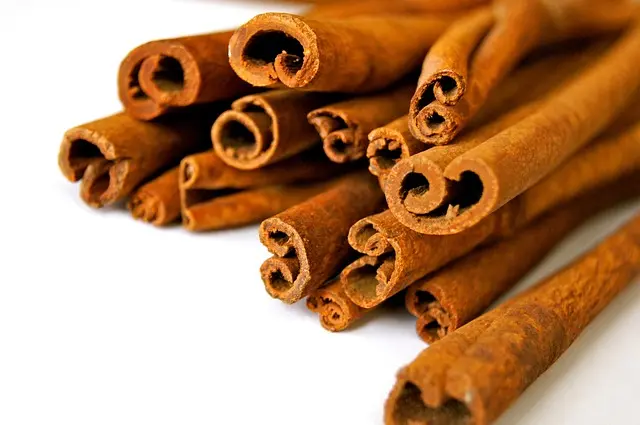 Les Bienfaits de l'Ayurveda pour Équilibrer Votre Énergie