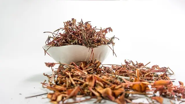 Les Bienfaits Inattendus de l'Ayurveda sur Votre Énergie