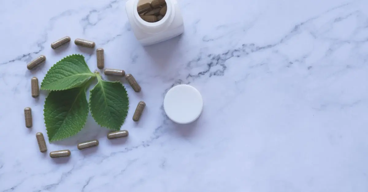 Les Bienfaits de l'Ayurveda pour Équilibrer Votre Bien-Être