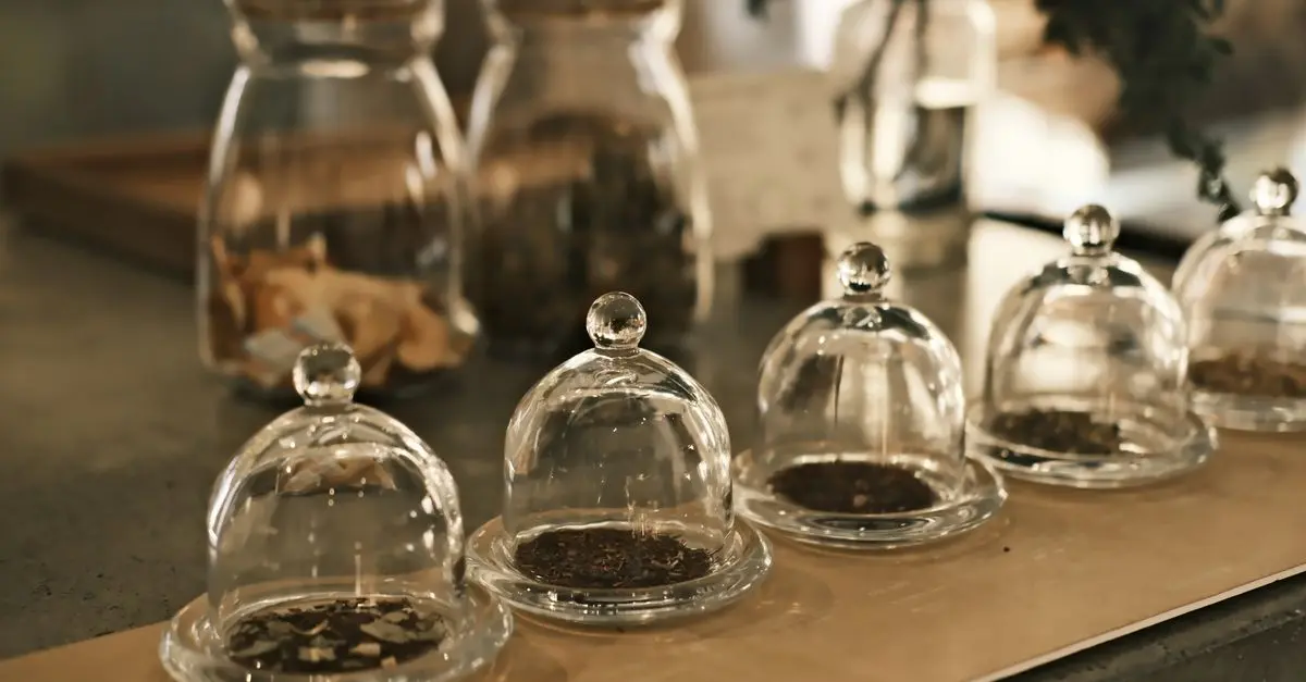 Les Fondements de l'Ayurveda : Comprendre les Bases de la Santé