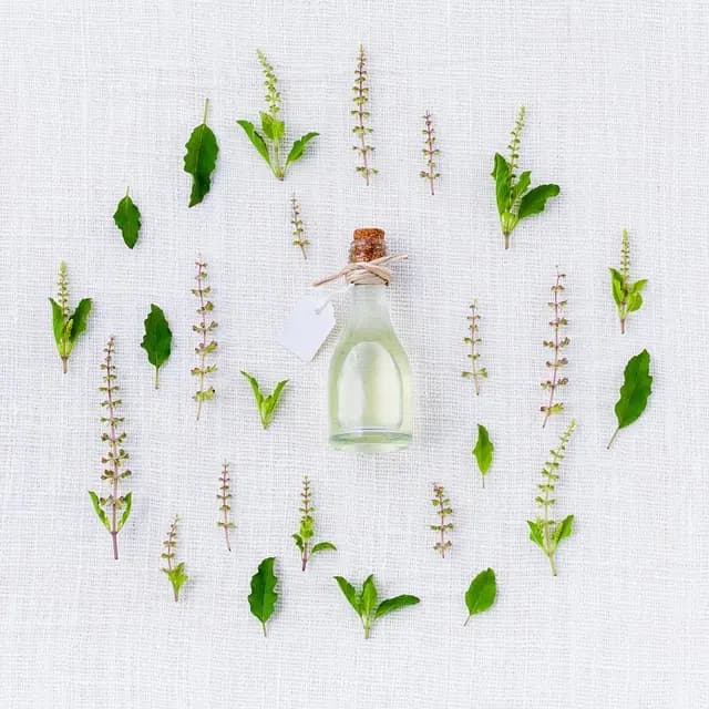 Les Rituels Quotidiens en Ayurveda pour un Bien-Être Optimal