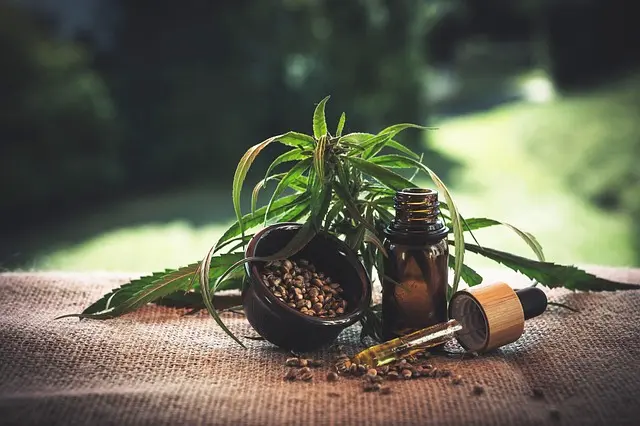 Les erreurs courantes en Ayurveda à éviter pour une santé optimale