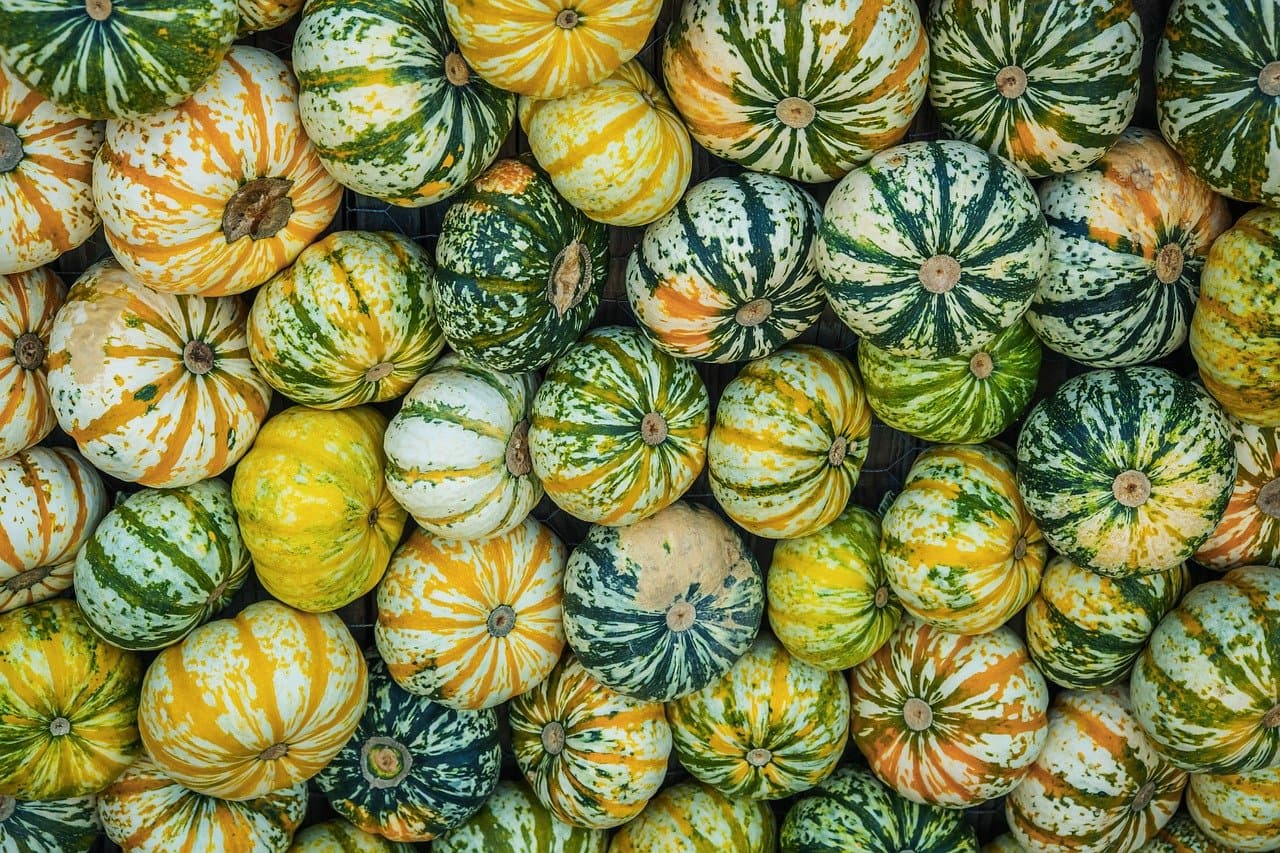 5 Aliments Ayurvédiques Incontournables pour Votre Santé