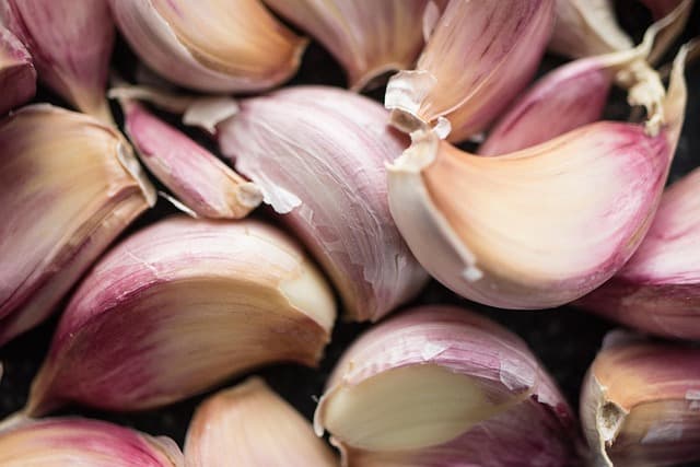 Comment Adopter une Alimentation Ayurvédique pour un Bien-Être Optimal
