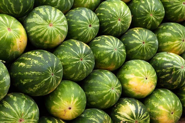 Les Aliments Clés pour Équilibrer Votre Dosha