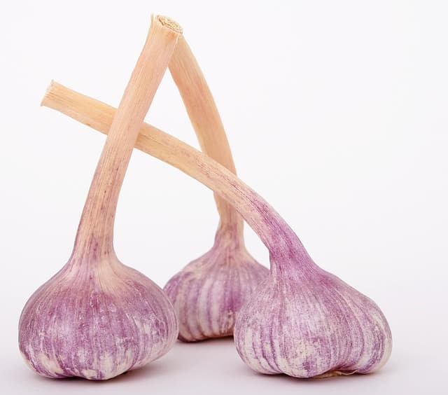 Les Aliments Ayurvédiques à Consommer pour Équilibrer Votre Dosha