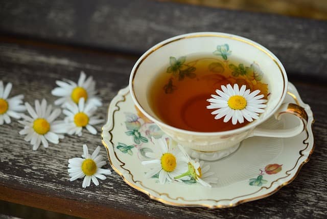 Les Meilleures Huiles Végétales en Ayurveda pour votre Santé
