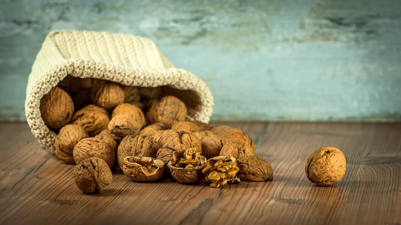 Les 7 Principes de Base de l'Ayurveda à Intégrer dans Votre Vie