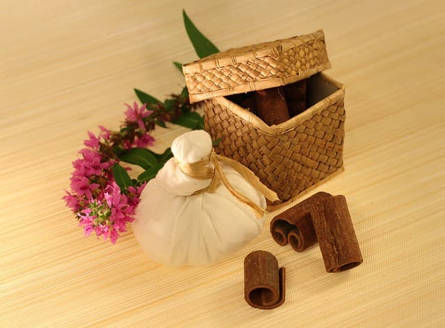 Comment Améliorer votre Vitalité avec l'Ayurveda