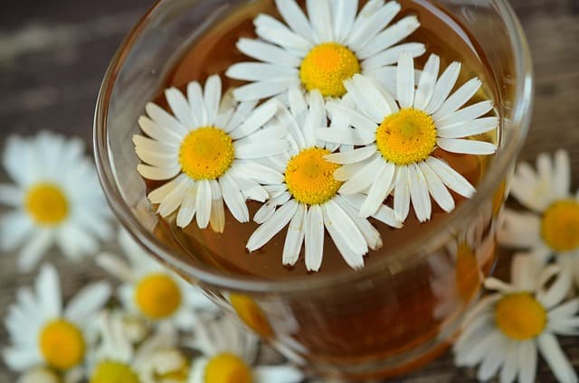 Les Secrets de l'Ayurveda pour Équilibrer votre Santé Émotionnelle