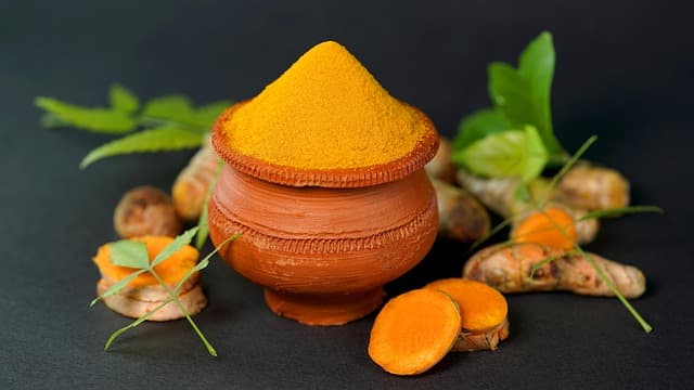 Comment Équilibrer Votre Dosha avec l'Ayurveda