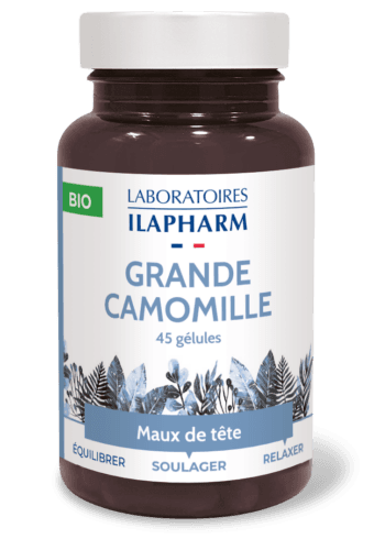 Grande Camomille Bio - Soulage les maux de tête